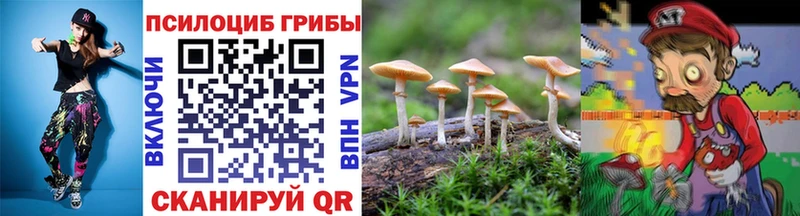 Псилоцибиновые грибы мицелий  Моршанск 